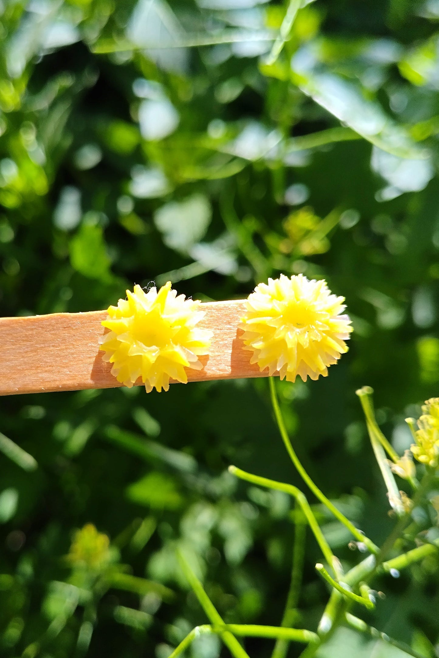 Pendientes POMPÓN de Sol