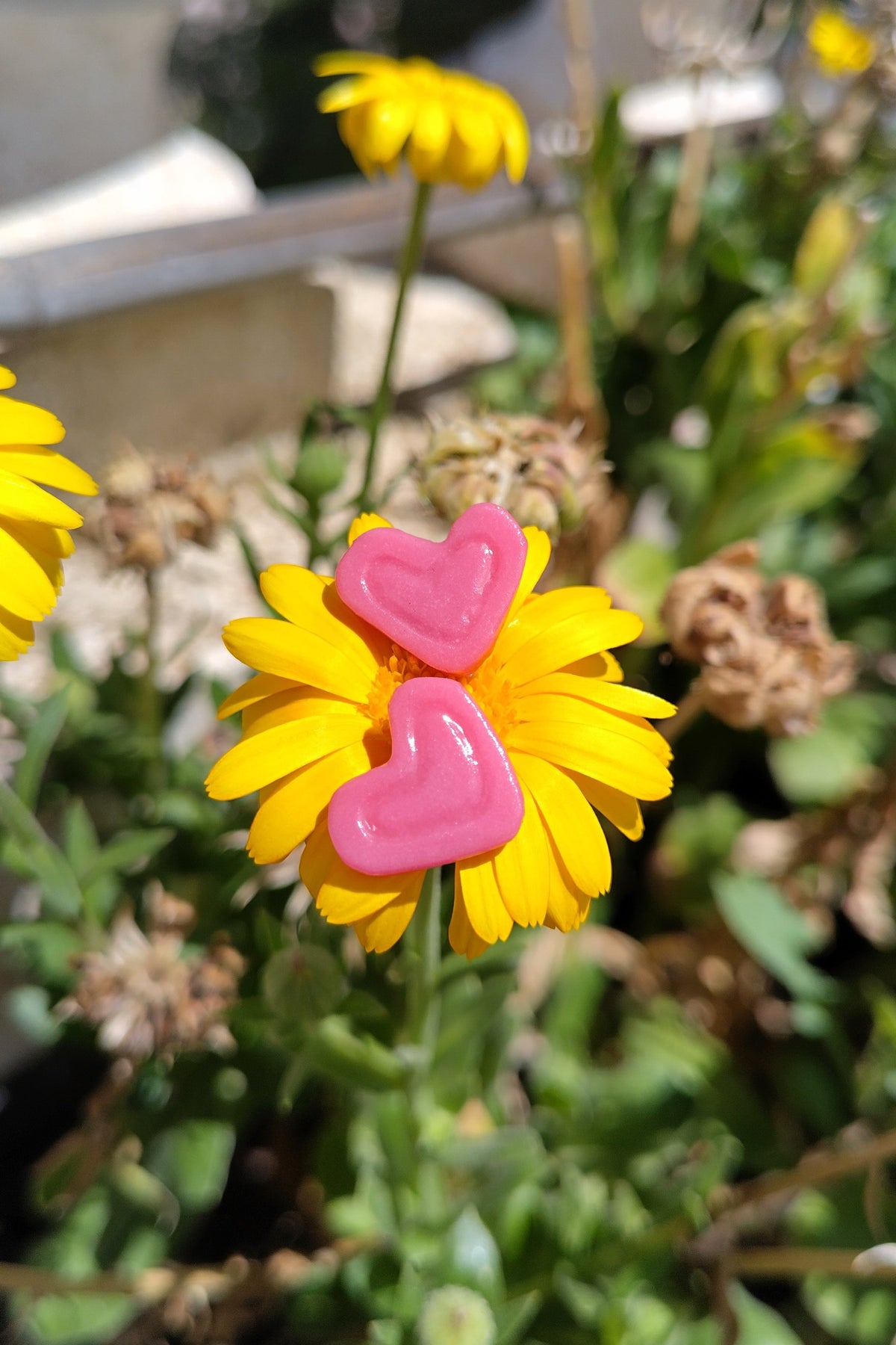 Pendientes de corazones rosas de arcilla polimérica y acero inoxidable, dulces y discretos; pegados al lóbulo.